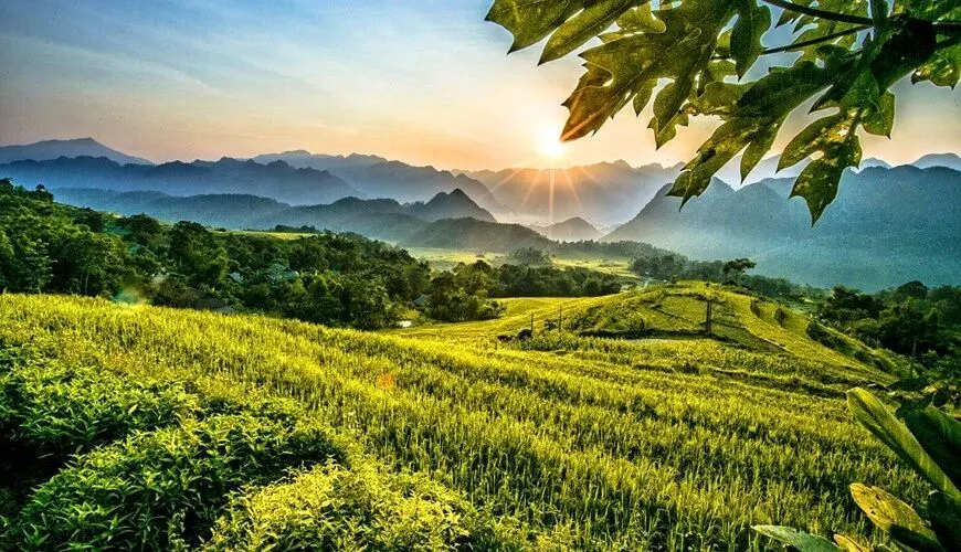 vietnam-tour-packages-5